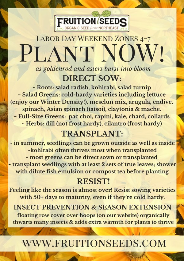 What to plant now