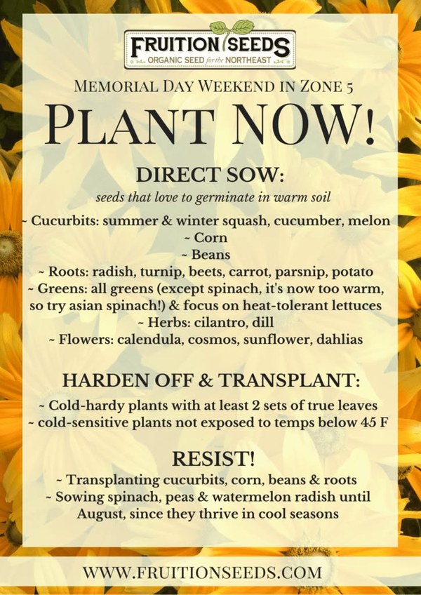 Plant Memorial Weekend